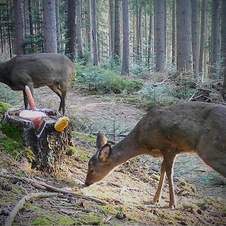 Ferienwohnung Kochs Beeren Oberfresen Luaran gambar