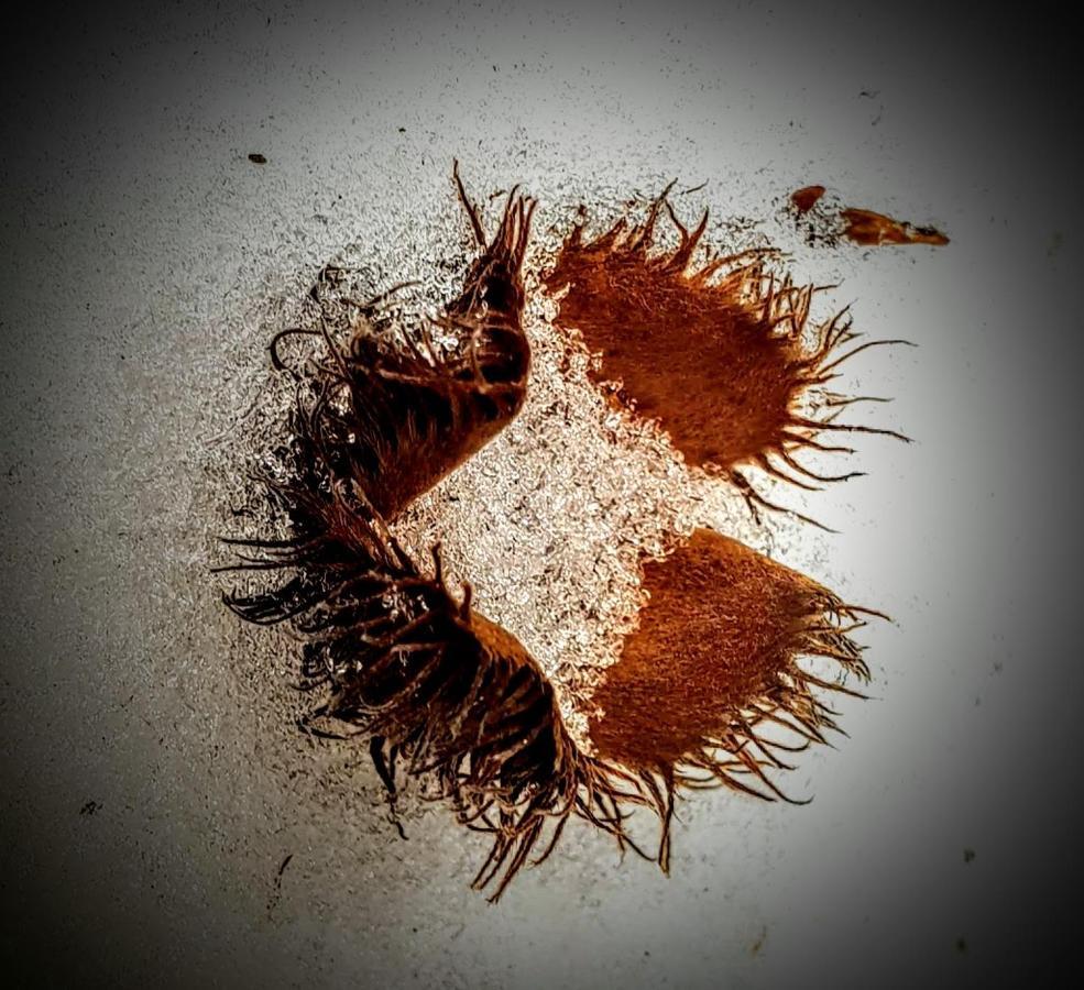 Ferienwohnung Kochs Beeren Oberfresen Luaran gambar